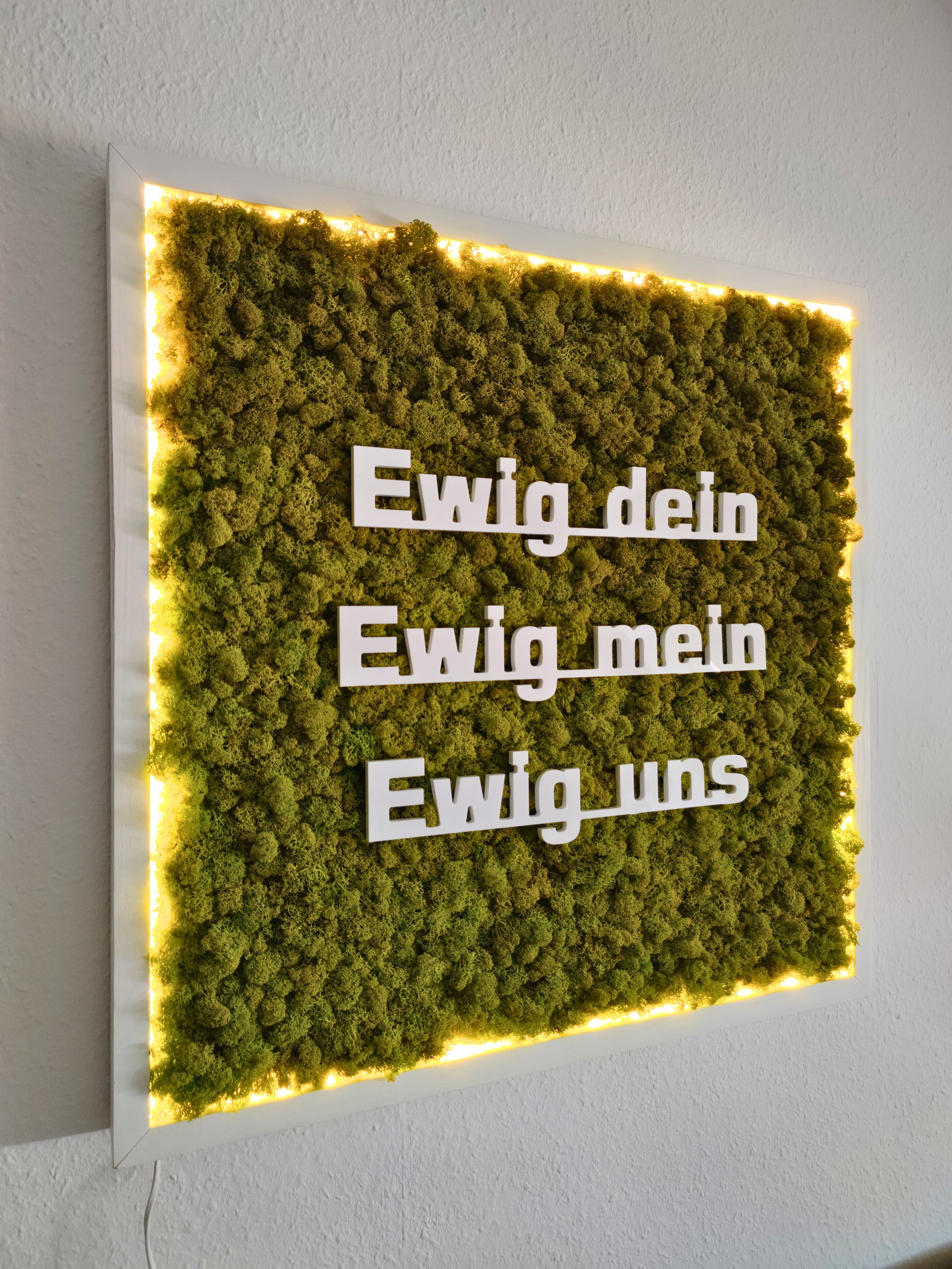Moosbilder mit Beleuchtung