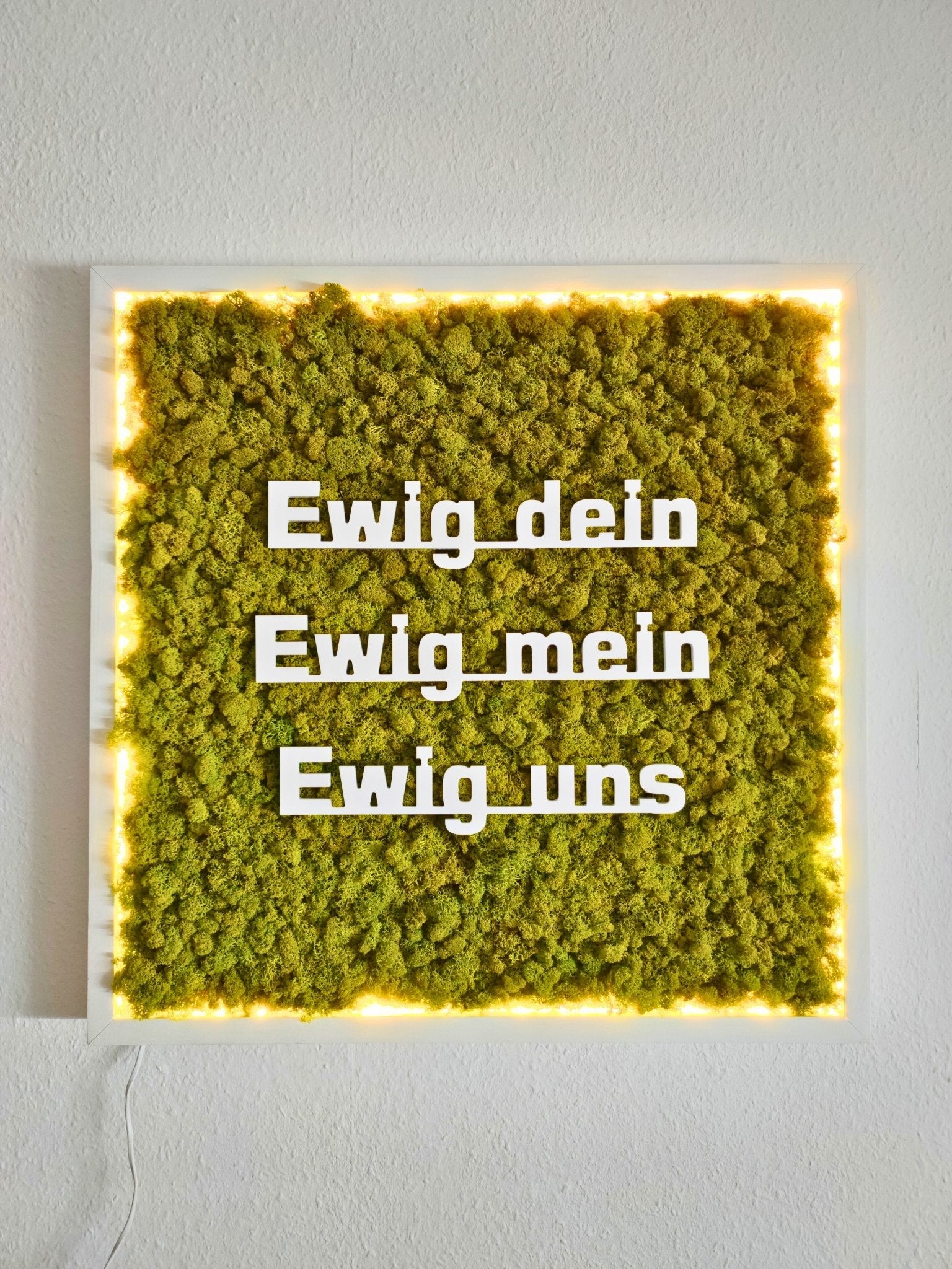 Moosbild mit Logo | 3D Buchstaben unbeleuchtet. Nachtansicht - beleuchtet. Islandmoos. Holzrahmen weiß. 3D Buchstaben weiß.