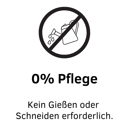 Kein Gießen. Kein Schneiden. 0% Pflege von Moosbildern. Moos & Kunst - Moosbilder mit Beleuchtung