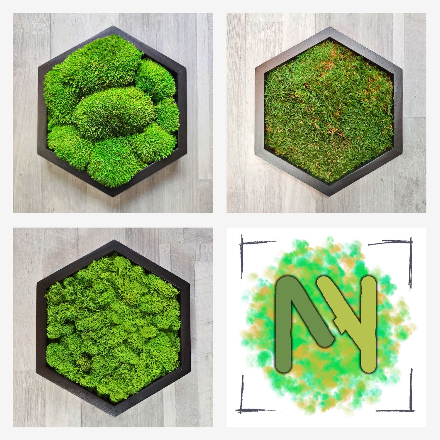 Übersicht Moosbilder Hexagon, Sechseck, Kugelmoos, Flachmoos, Islandmoos