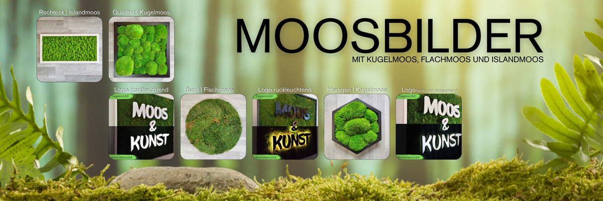Moos & Kunst I Moosbilder mit Beleuchtung