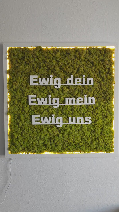 Video Moosbild beleuchtet mit Logo. Islandmoos. Holrahmen weiß. 3D Buchstaben weiß.
